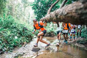 BIB: 
                            <button type="button" onclick="openModal(25372148)" class="btn btn-primary btn-sm float-right btn-popup" data-toggle="modal" data-target=".modal-high-quality">
                        <i class="fas fa-shopping-cart"></i> Add to Cart
                    </button>
                                            <button type="button" onclick="isThisMe(25372148, true)" class="btn btn-success btn-sm float-right btn-popup btn-isme hidden" data-toggle="tooltip" data-placement="bottom" title="นี่คือรูปของคุณใช่ไหม คลิกที่นี่เพื่อเอาเข้าอัลบั้ม">
                        <i class="fas fa-plus"></i> Add to album
                    </button>
                    <button type="button" onclick="isThisMe(25372148, false)" class="btn btn-warning btn-sm float-right btn-popup btn-isnotme hidden">
                        <i class="fas fa-ban"></i> Remove from album
                    </button>